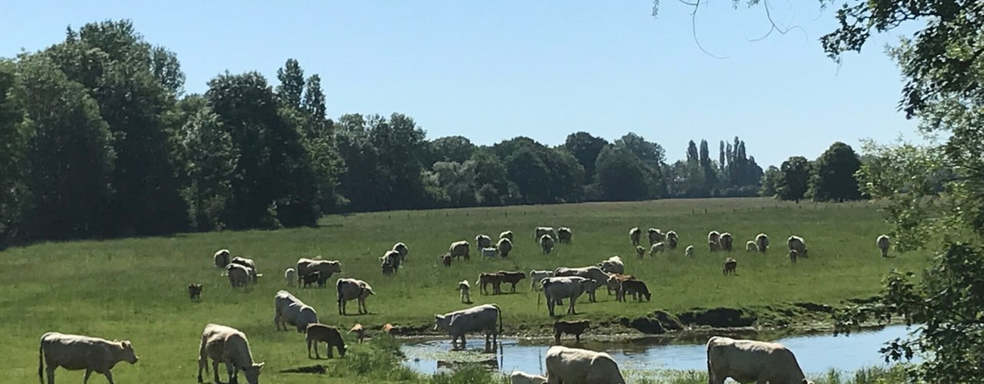 Pleine nature à Apremont sur Allier en région Centre-Val de Loire