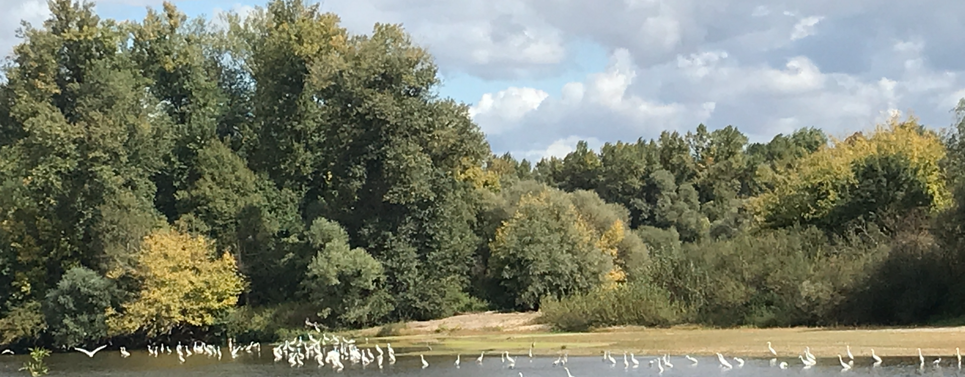 Faune et Flore du Val d'Allier Mairie Apremont suer Allier (18)