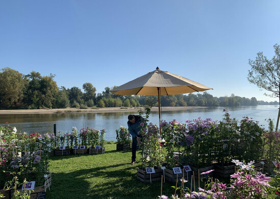 11 ème Fête d’Automne : « vin, saveurs et plantes d’automne » : 19 et 20 octobre 2024