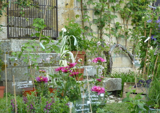 22ème Fête des Plantes : 18 et 19 mai 2024