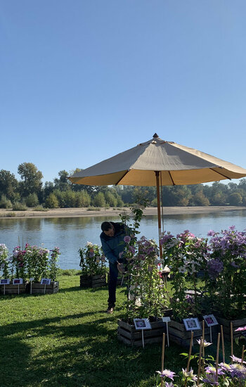 11 ème Fête d’Automne : « vin, saveurs et plantes d’automne » : 19 et 20 octobre 2024