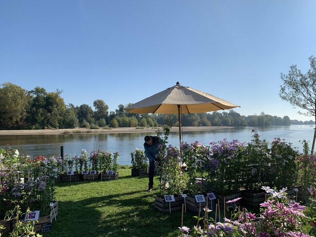 11 ème Fête d’Automne : « vin, saveurs et plantes d’automne » : 19 et 20 octobre 2024