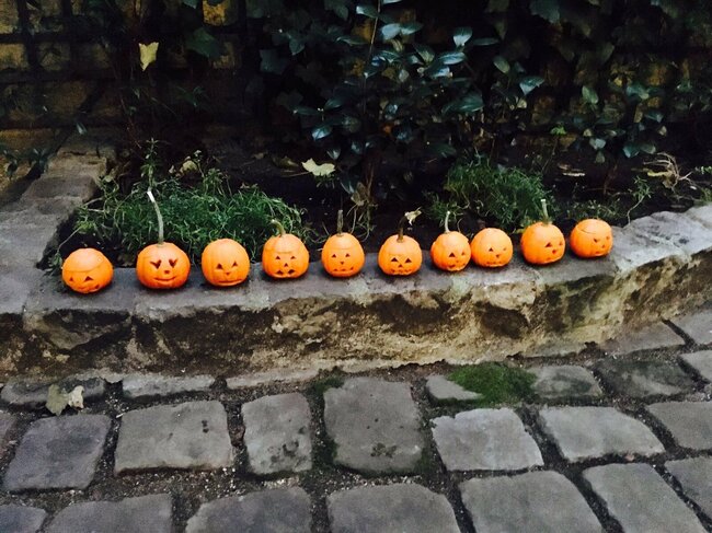 Halloween au Parc floral : 31 octobre 2024